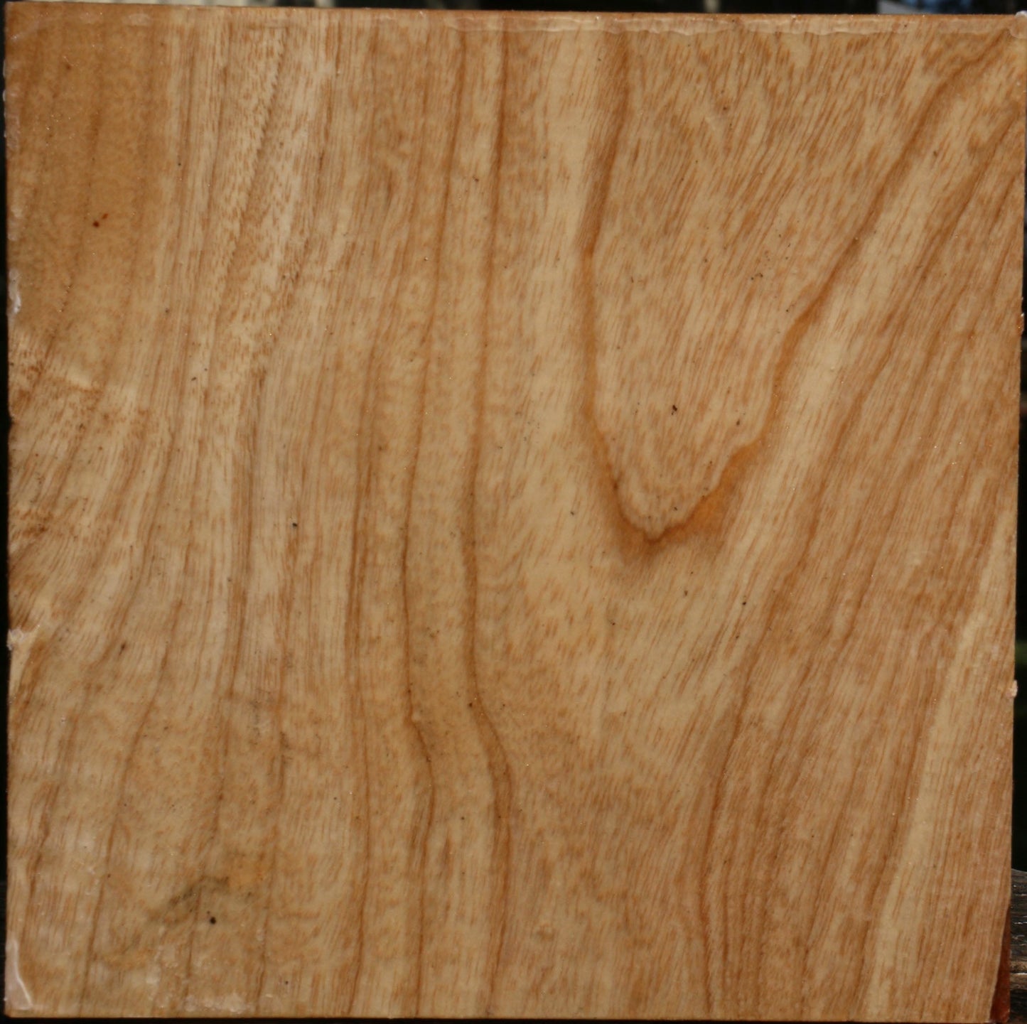 Extra Fancy Modesto Ash Bowl Blank