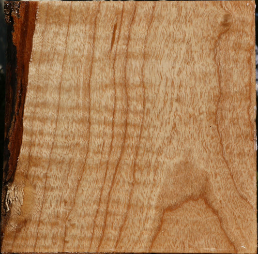 Figured Modesto Ash Bowl Blank