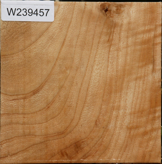 Figured Modesto Ash Bowl Blank