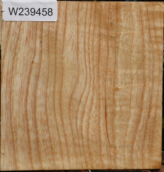 Figured Modesto Ash Bowl Blank