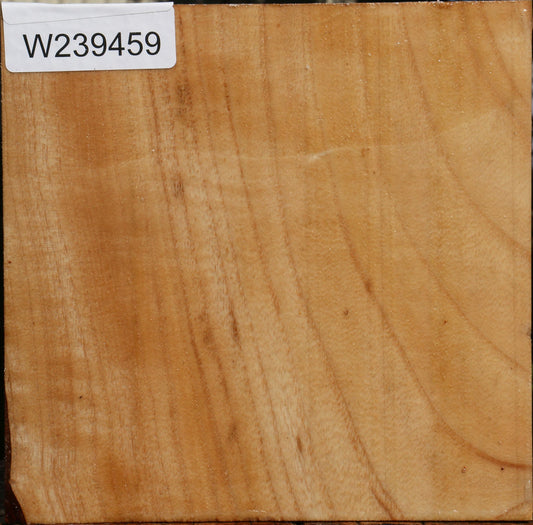 Modesto Ash Bowl Blank