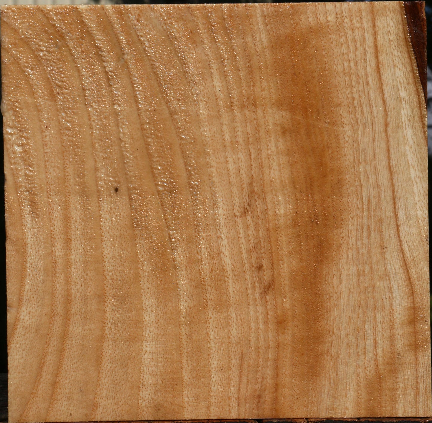 Modesto Ash Bowl Blank