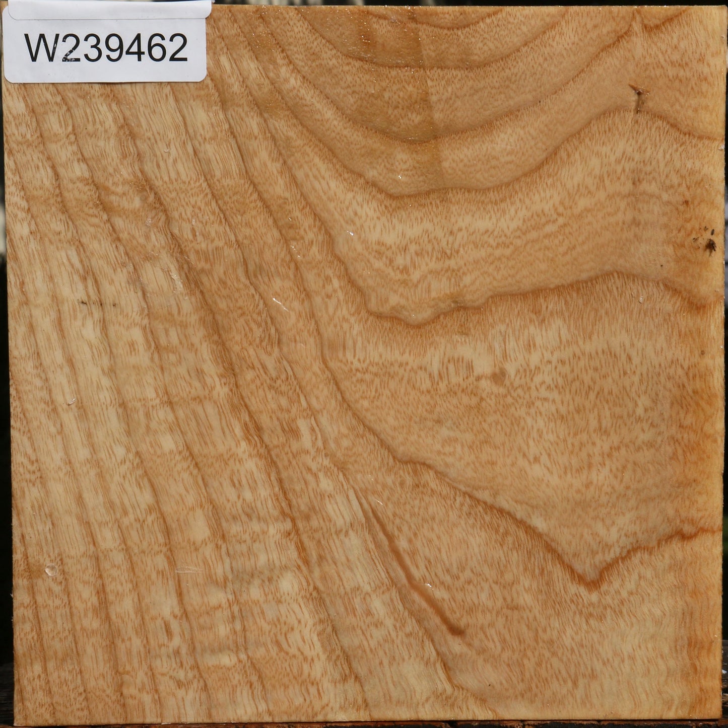 Figured Modesto Ash Bowl Blank