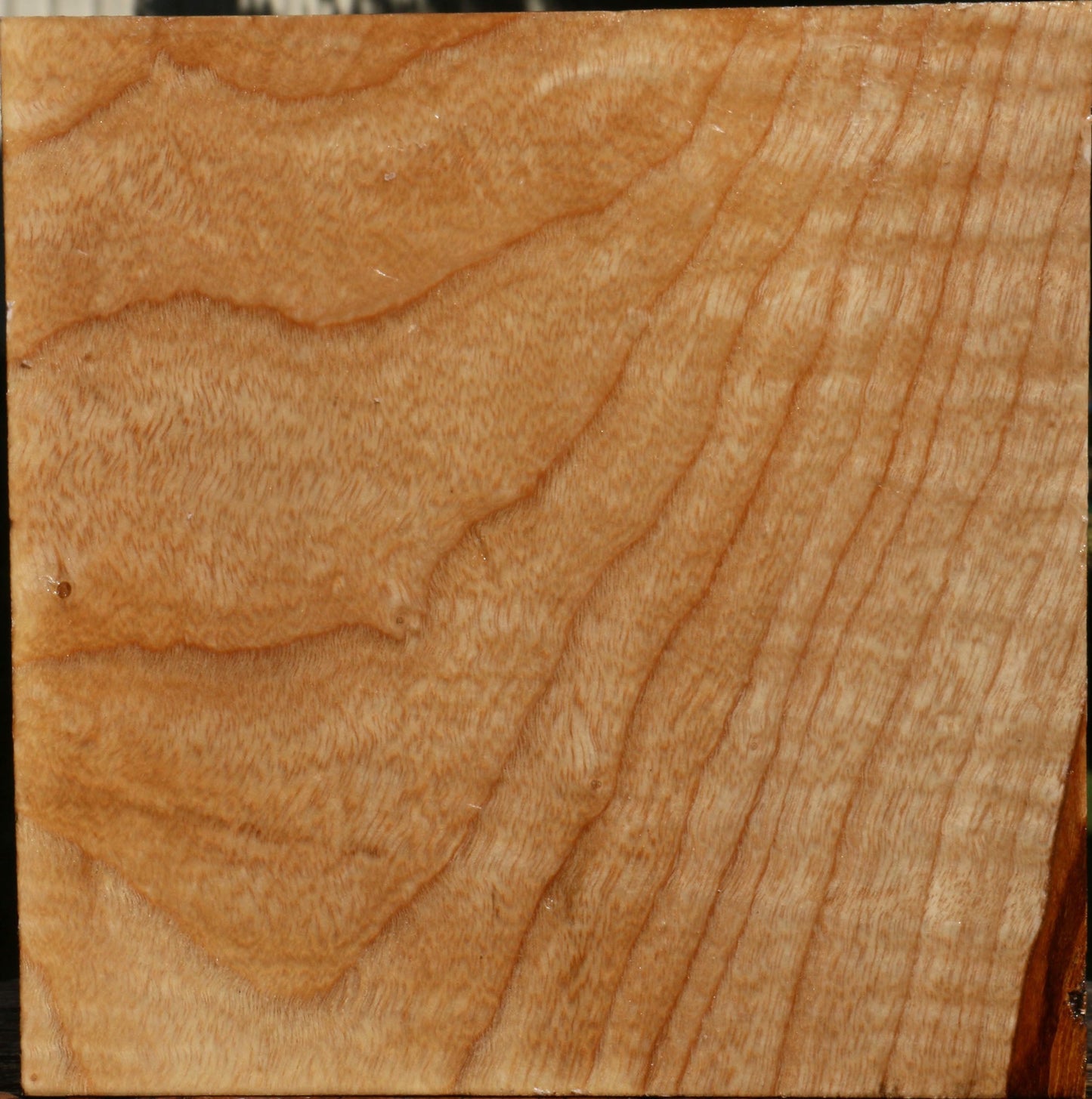 Figured Modesto Ash Bowl Blank