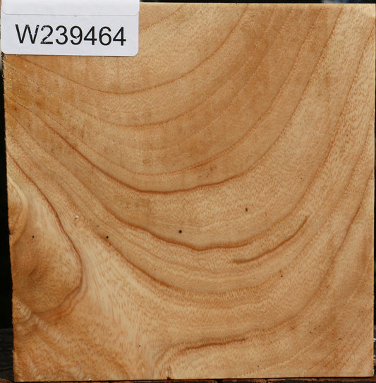 Extra Fancy Modesto Ash Bowl Blank