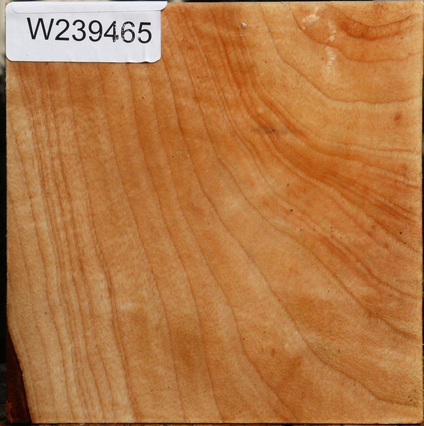 Figured Modesto Ash Bowl Blank