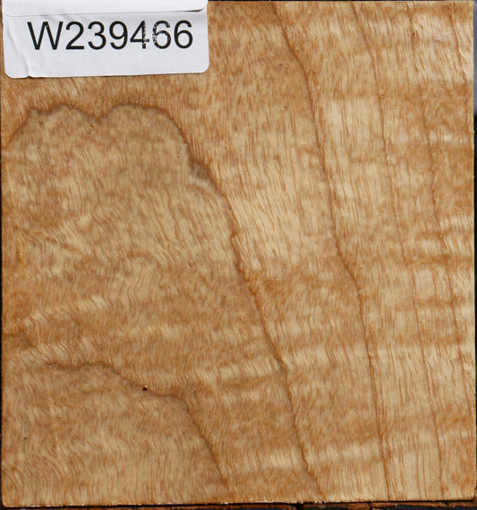 Figured Modesto Ash Bowl Blank