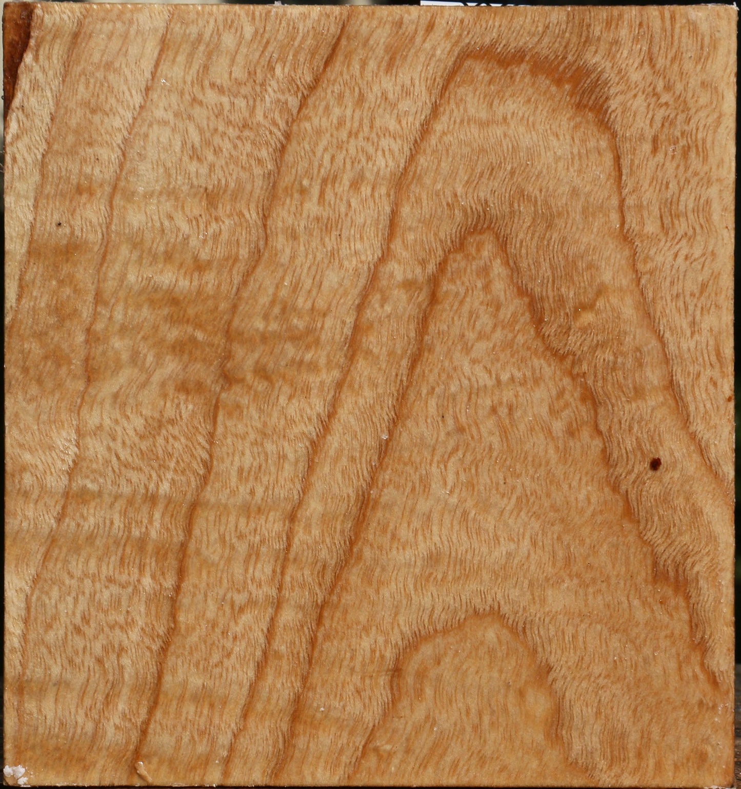 Figured Modesto Ash Bowl Blank