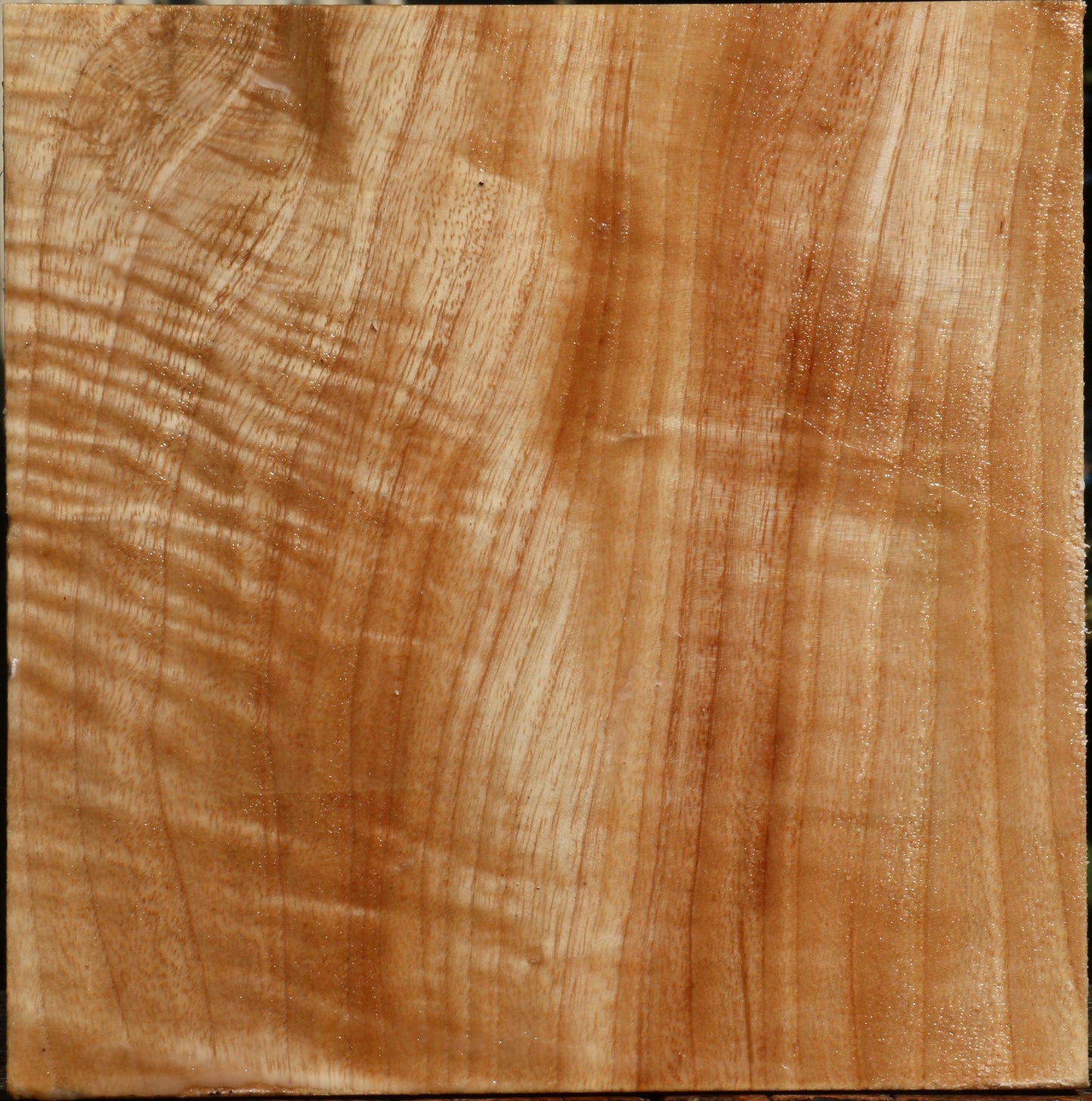 Extra Fancy Modesto Ash Bowl Blank