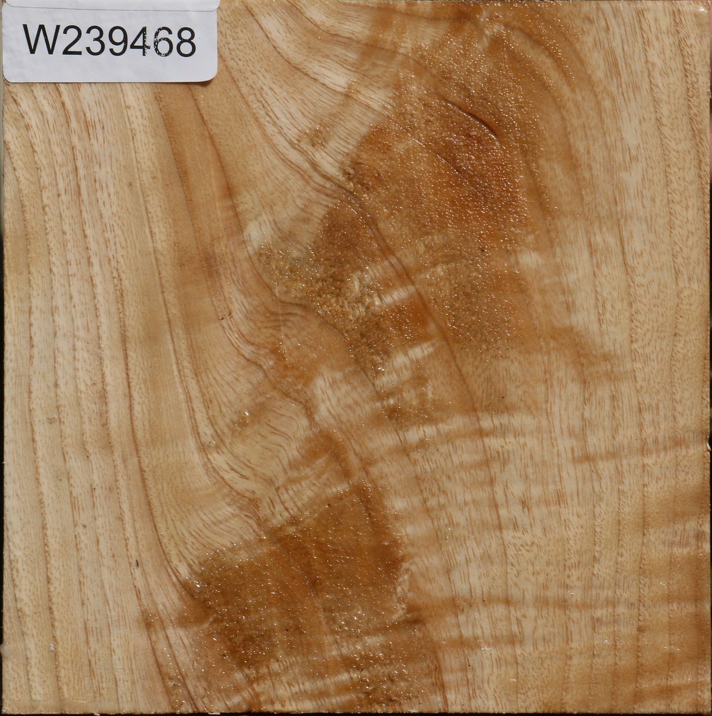 Extra Fancy Modesto Ash Bowl Blank