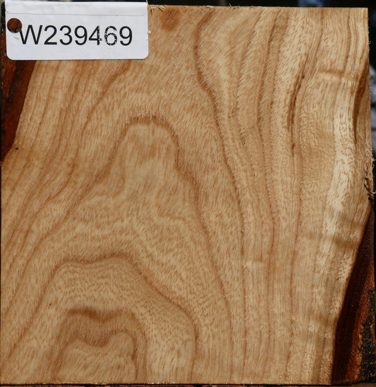 Extra Fancy Modesto Ash Bowl Blank