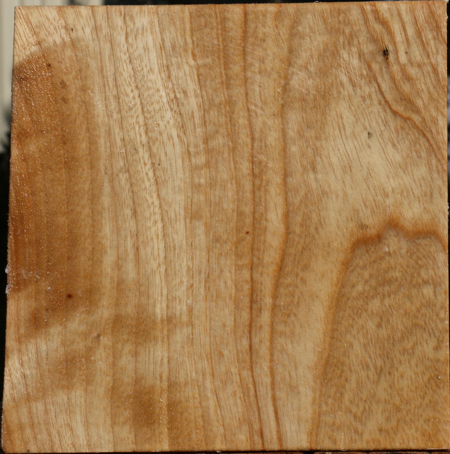 Extra Fancy Modesto Ash Bowl Blank