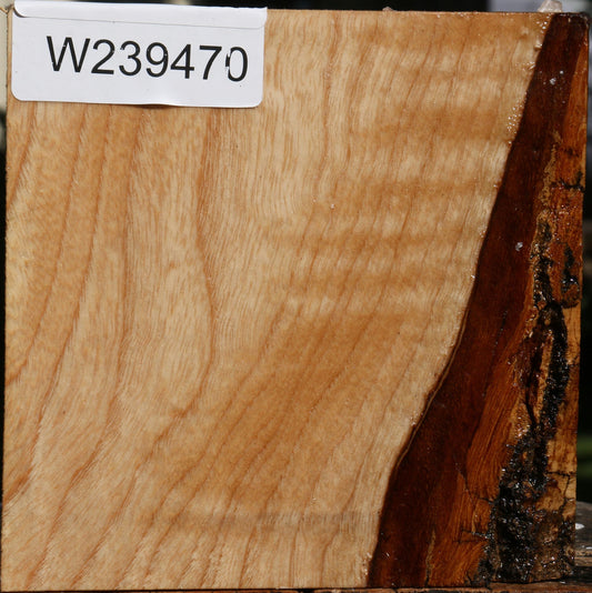 Figured Modesto Ash Bowl Blank