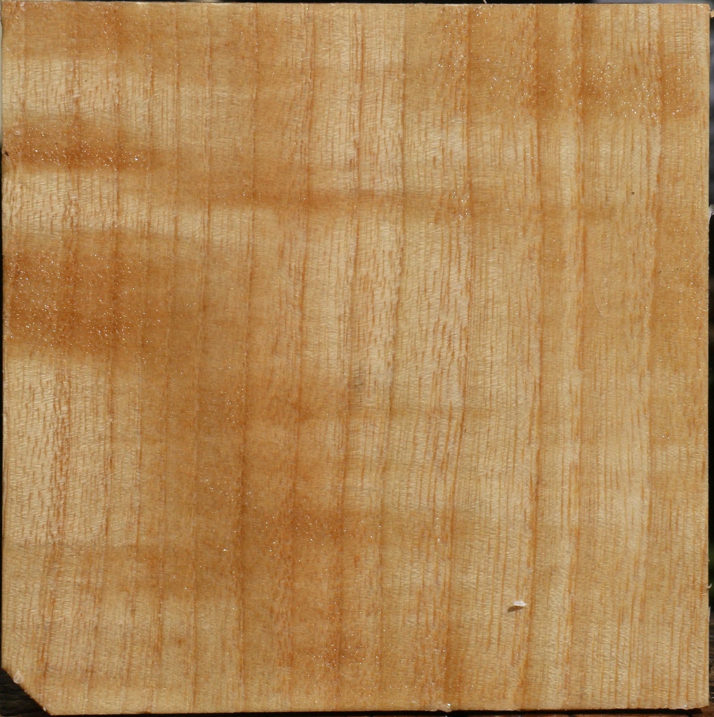 Figured Modesto Ash Bowl Blank