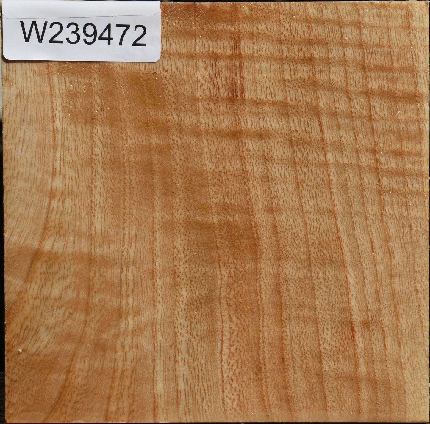 Figured Modesto Ash Bowl Blank