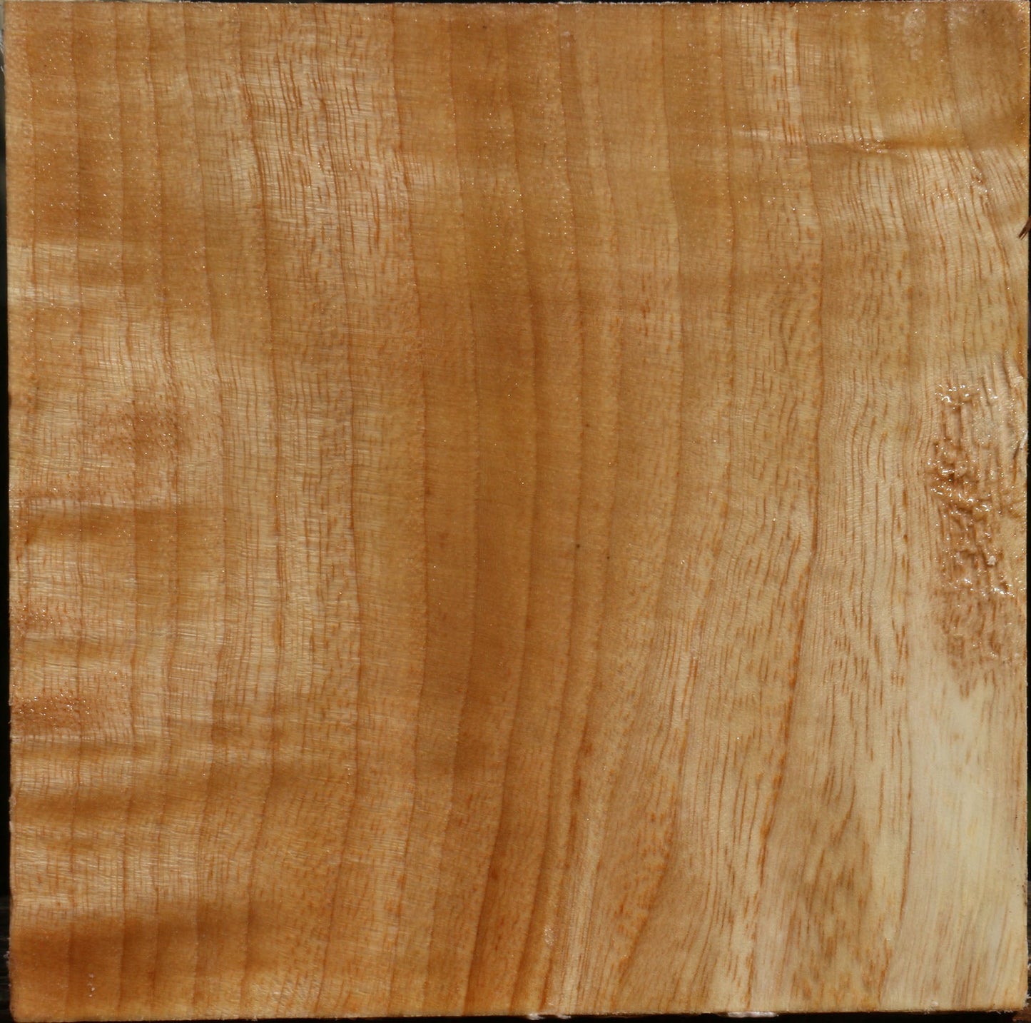 Figured Modesto Ash Bowl Blank