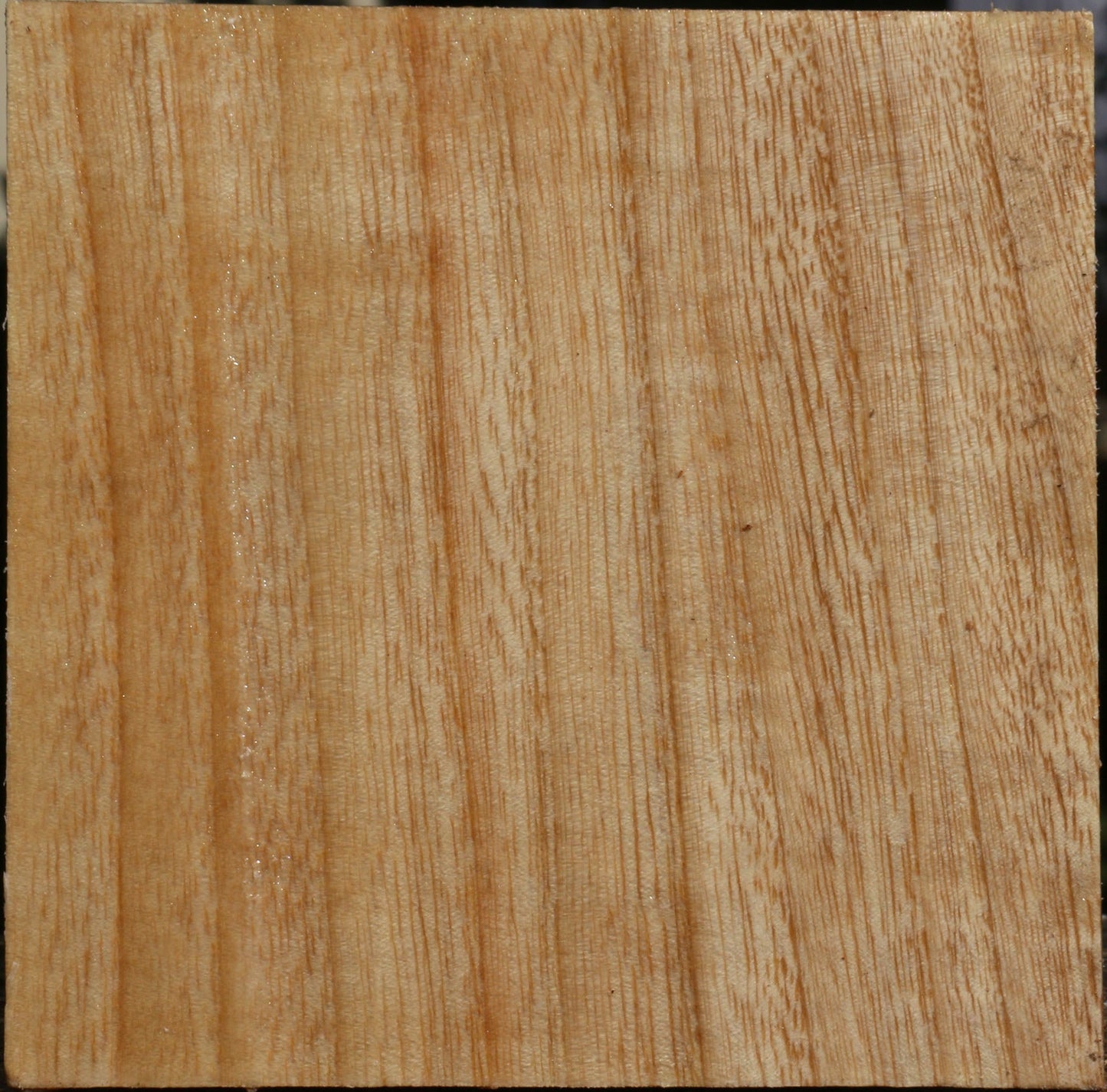 Modesto Ash Bowl Blank