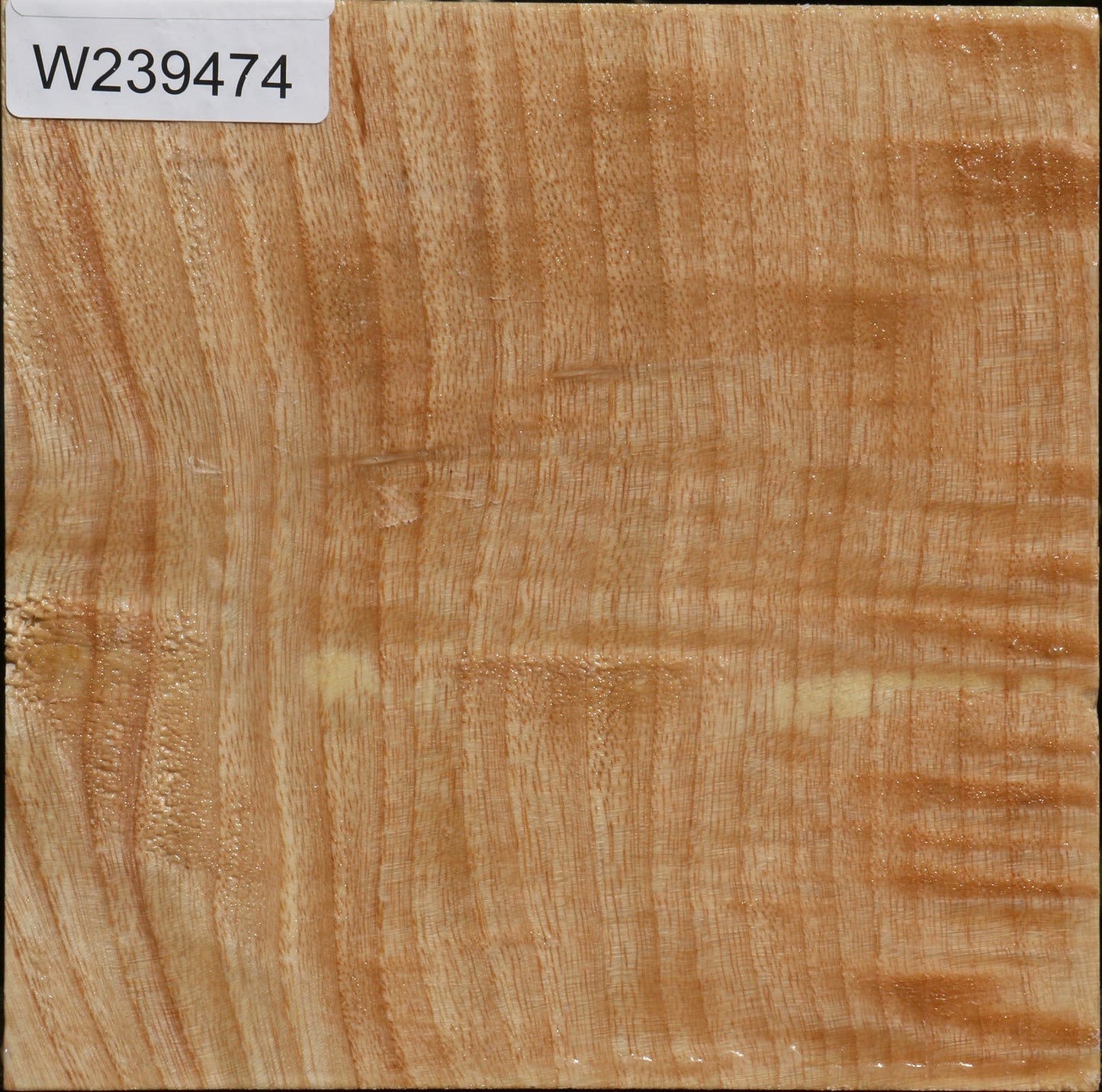 Figured Modesto Ash Bowl Blank