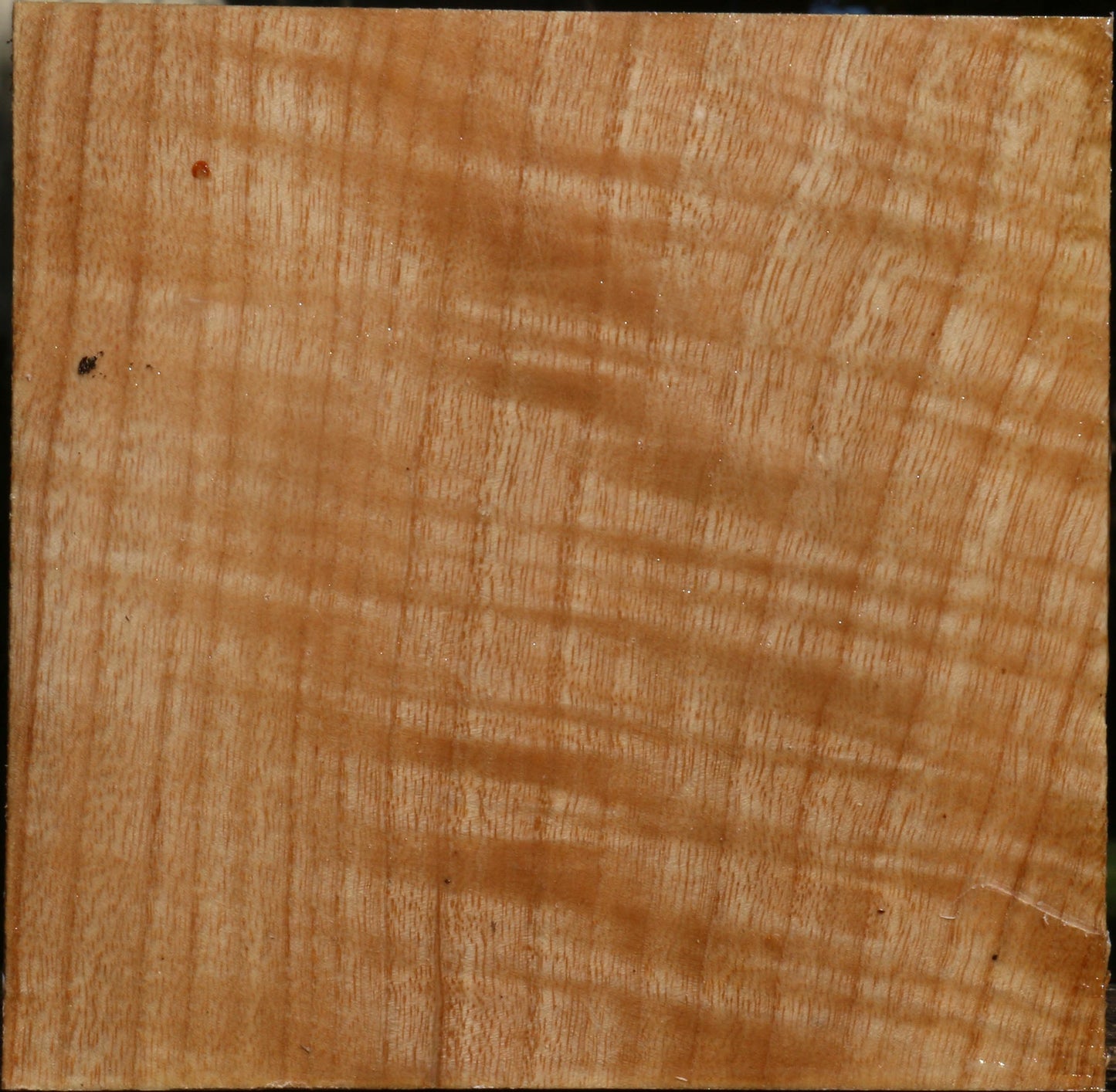 Extra Fancy Modesto Ash Bowl Blank