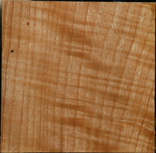 Extra Fancy Modesto Ash Bowl Blank