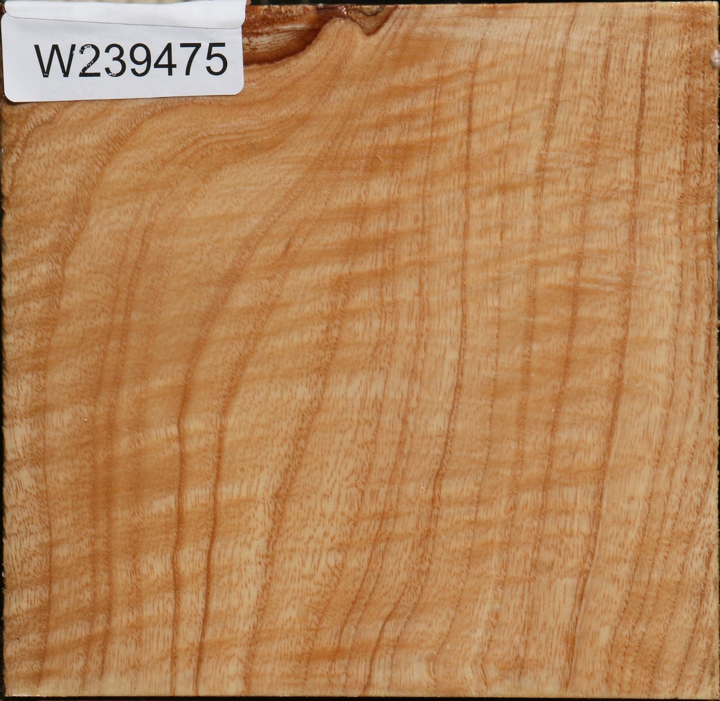 Extra Fancy Modesto Ash Bowl Blank