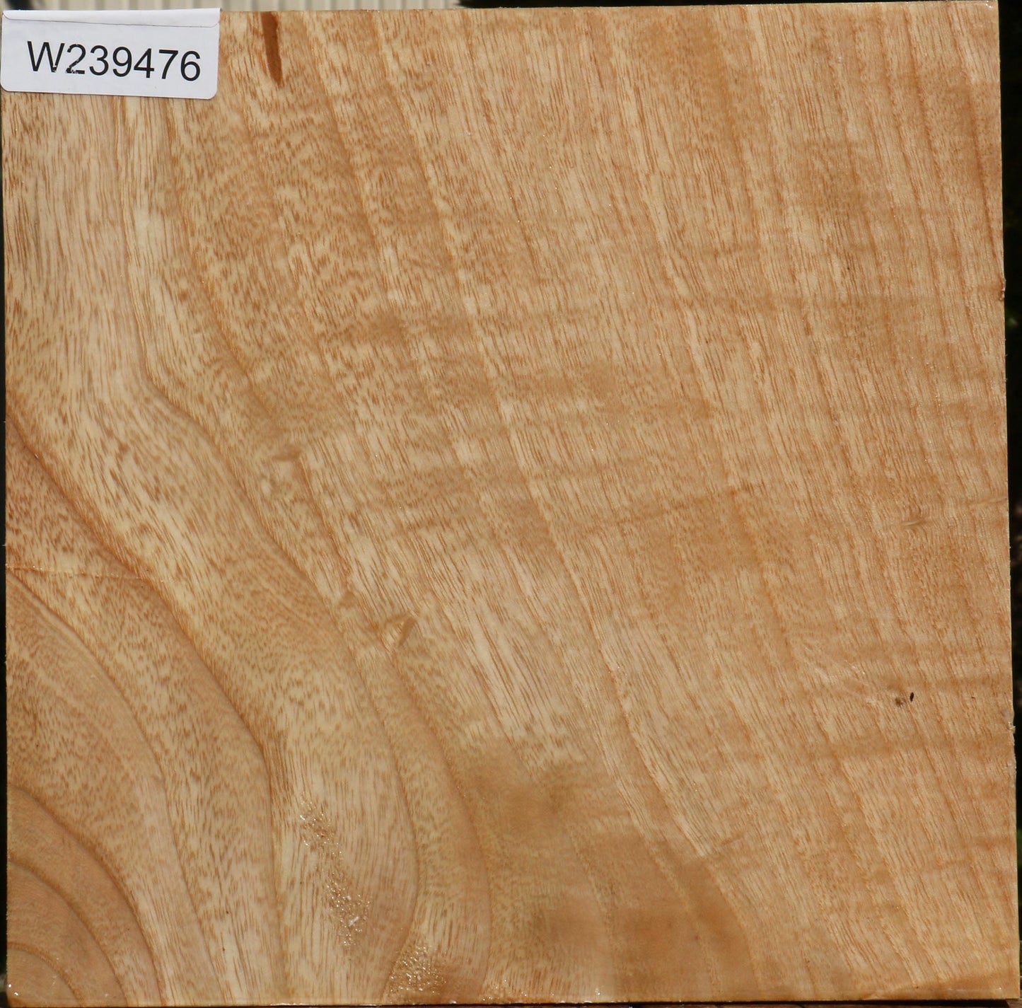 Figured Modesto Ash Bowl Blank