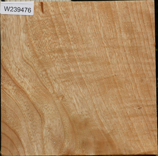 Figured Modesto Ash Bowl Blank