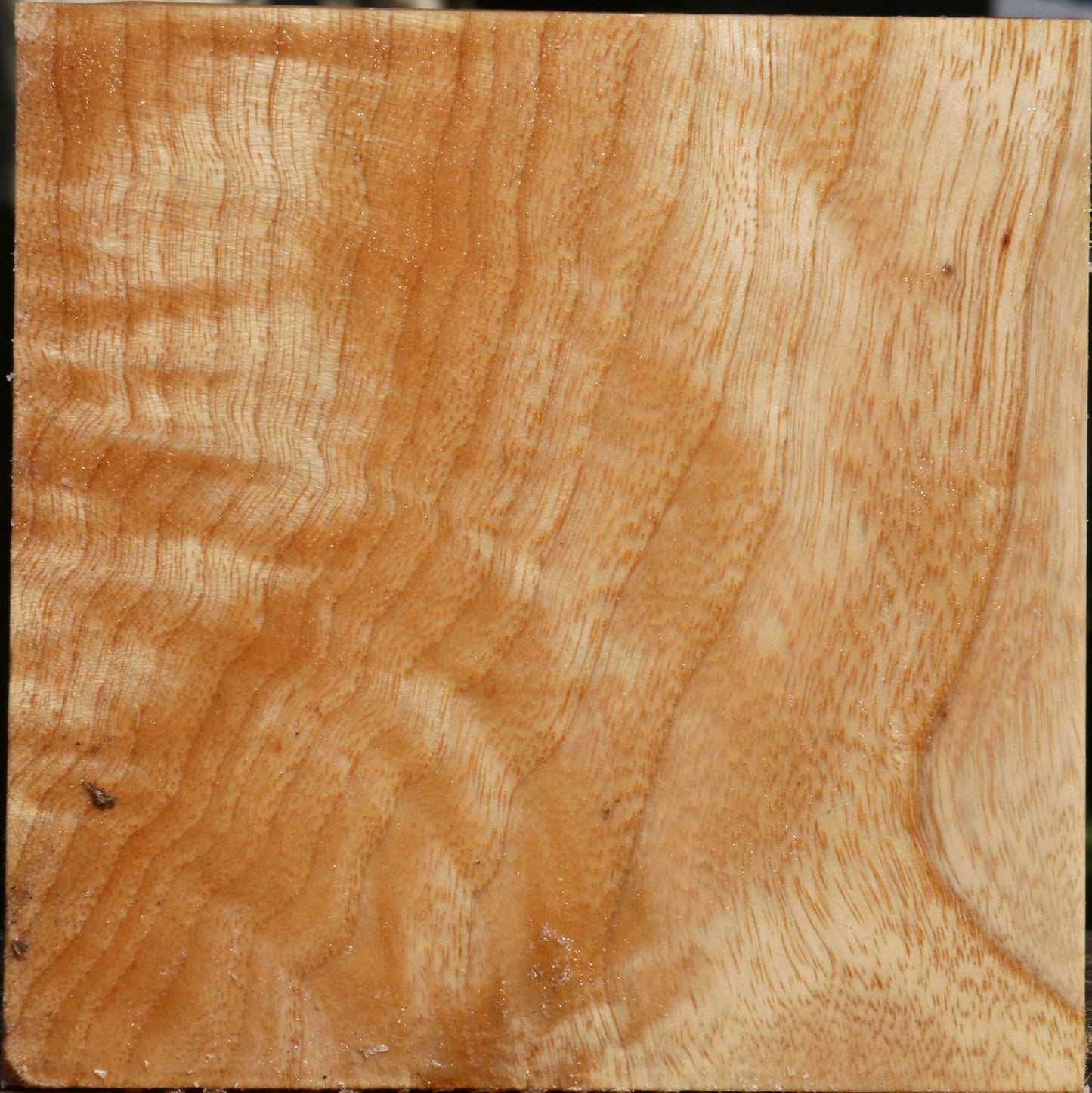 Extra Fancy Modesto Ash Bowl Blank