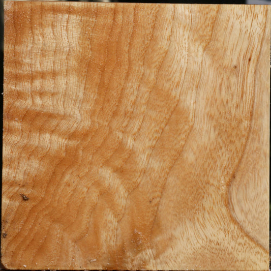 Extra Fancy Modesto Ash Bowl Blank