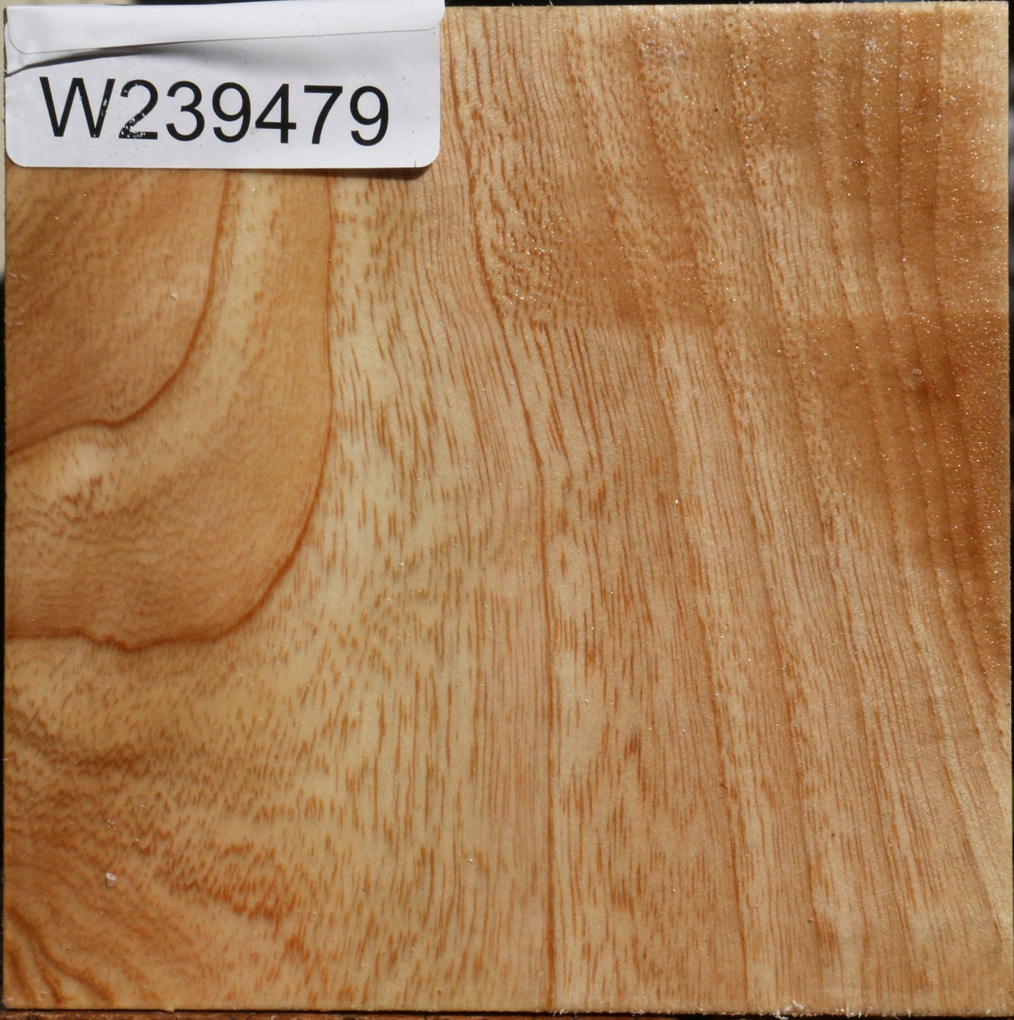 Extra Fancy Modesto Ash Bowl Blank