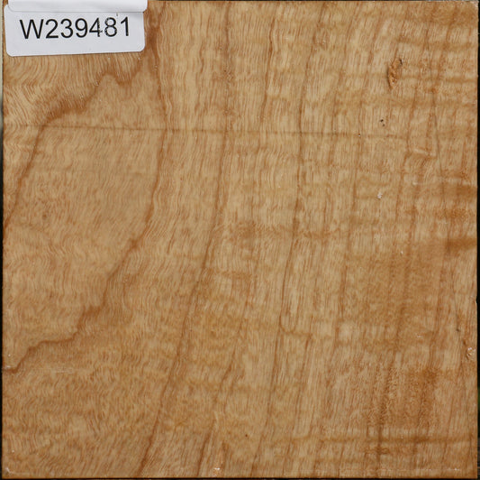 Figured Modesto Ash Bowl Blank