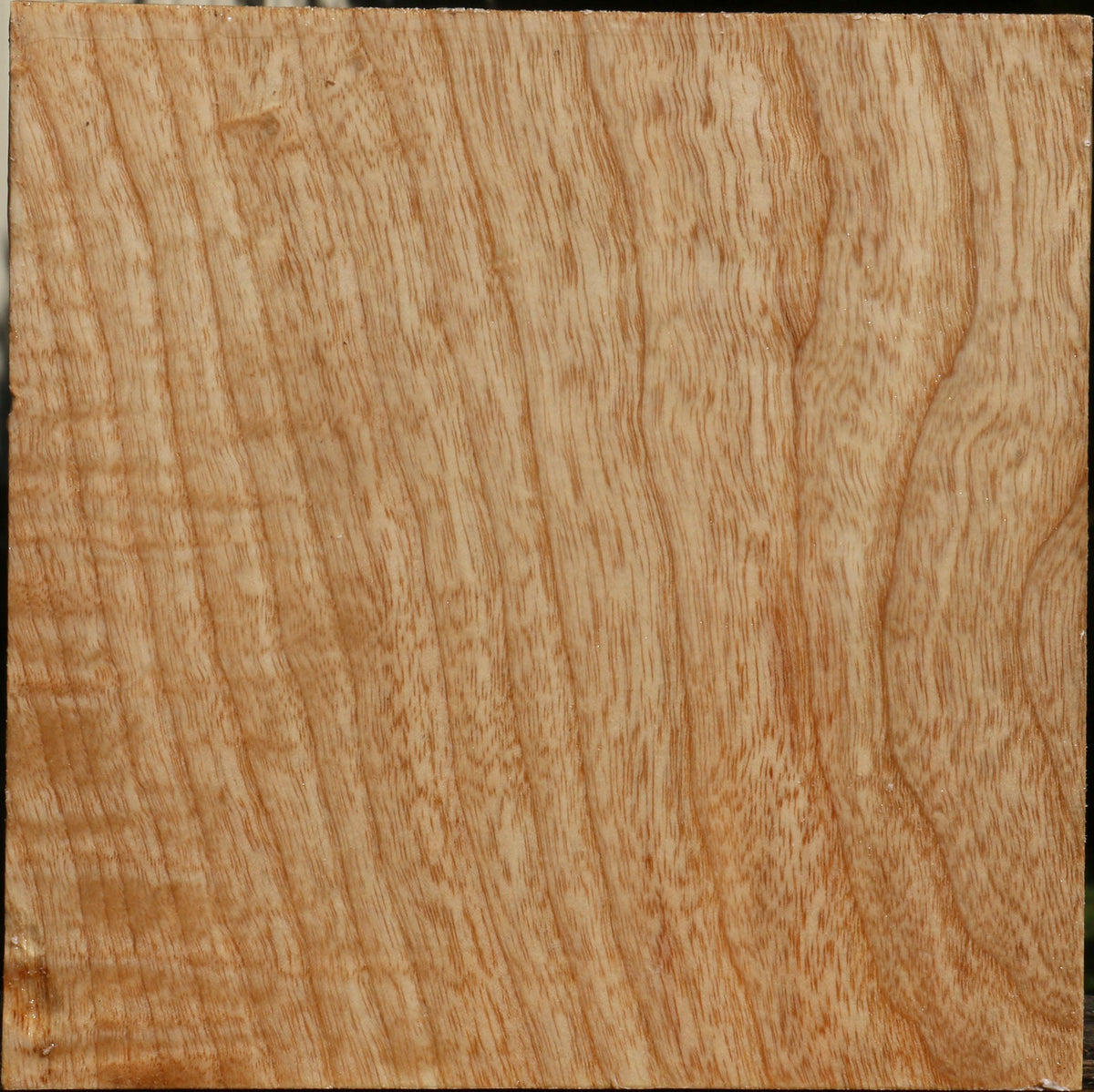 Figured Modesto Ash Bowl Blank