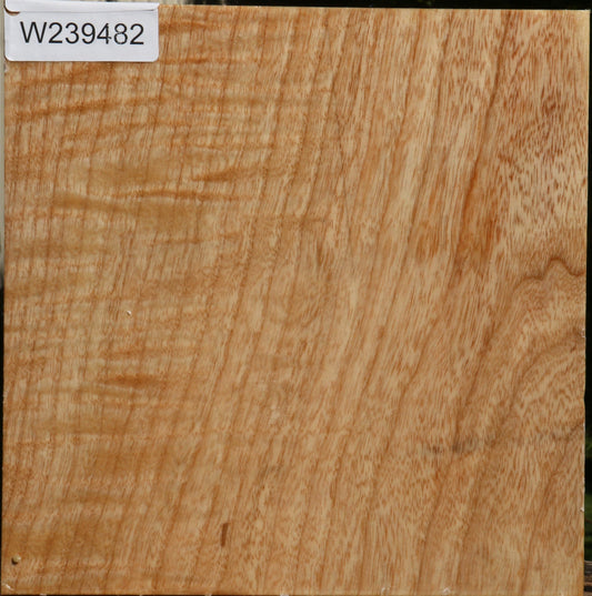 Figured Modesto Ash Bowl Blank