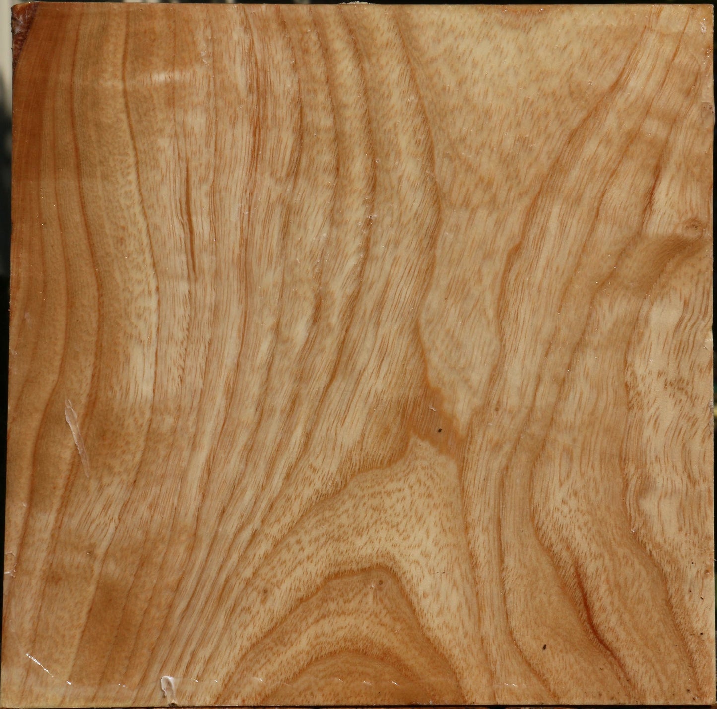 Extra Fancy Modesto Ash Bowl Blank