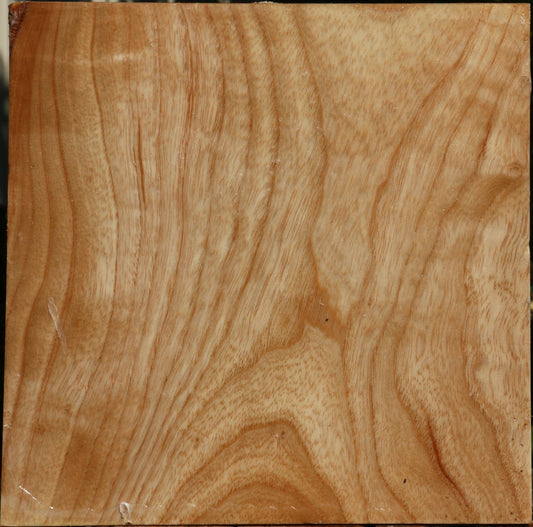 Extra Fancy Modesto Ash Bowl Blank