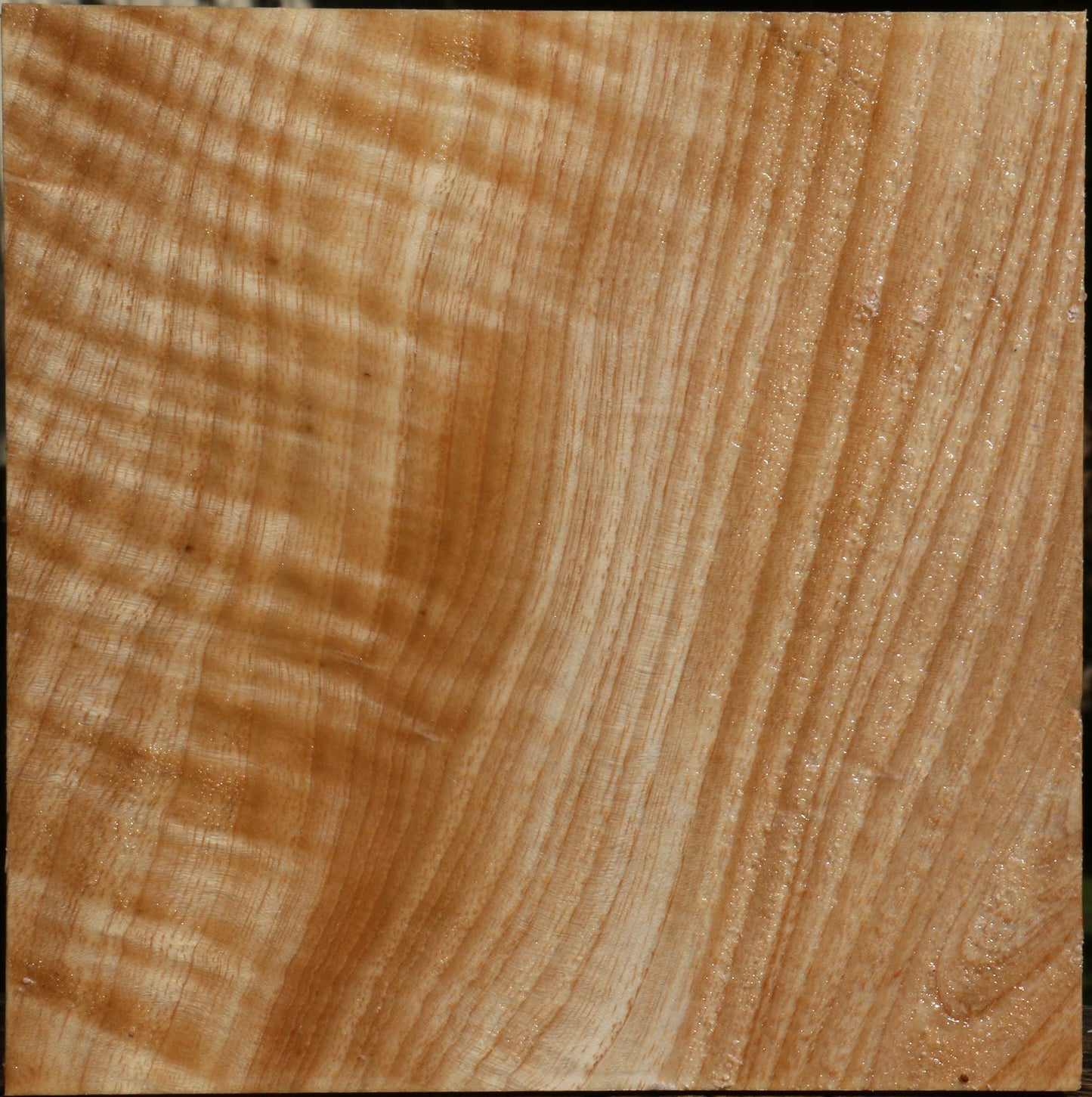 Modesto Ash Bowl Blank