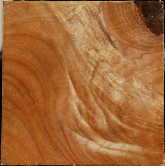 Extra Fancy Modesto Ash Bowl Blank