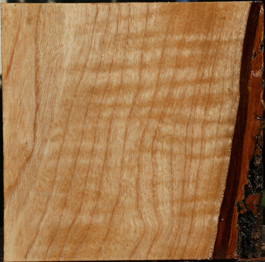 Figured Modesto Ash Bowl Blank