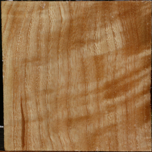 Extra Fancy Modesto Ash Bowl Blank