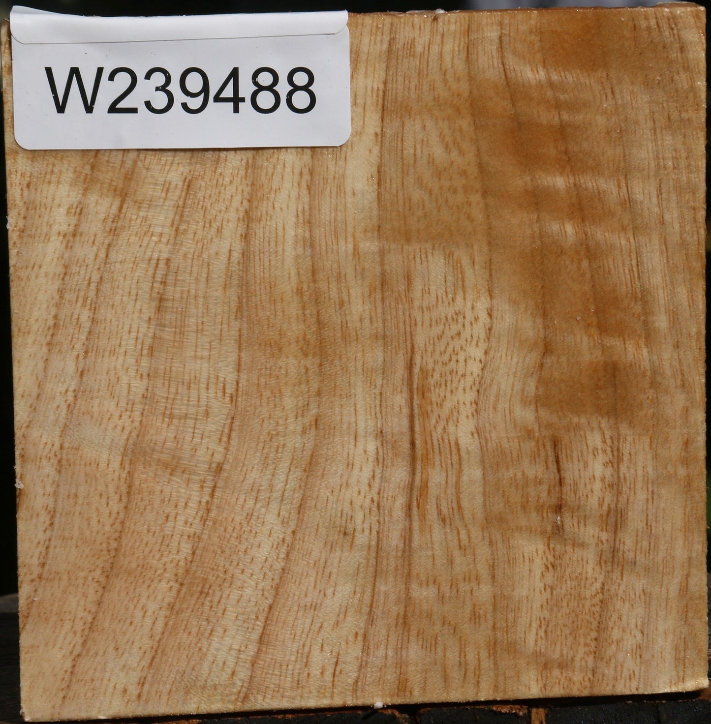 Extra Fancy Modesto Ash Bowl Blank