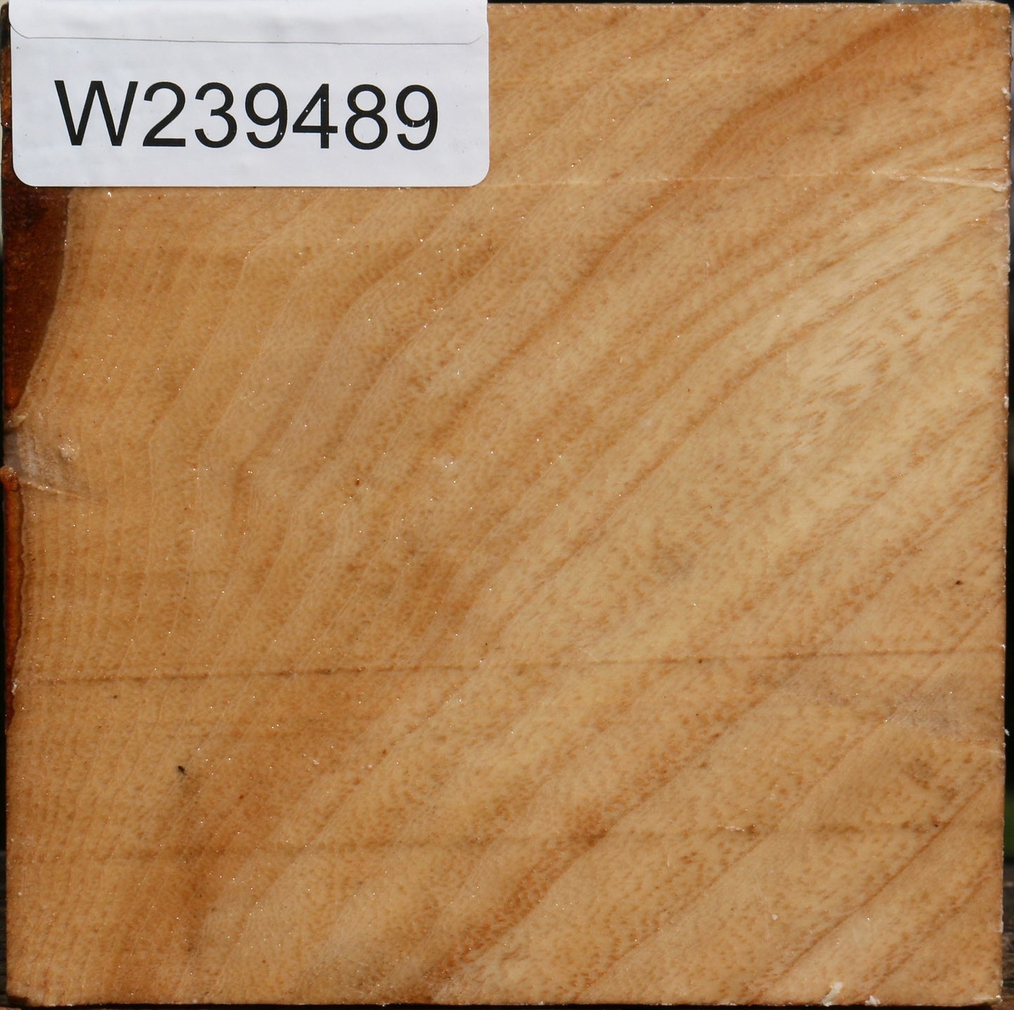 Modesto Ash Bowl Blank