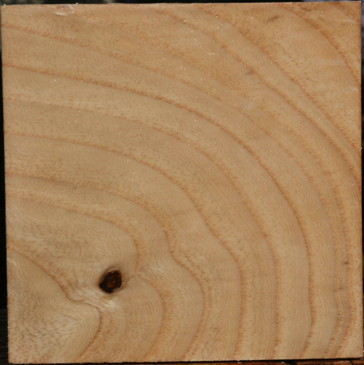 Modesto Ash Bowl Blank