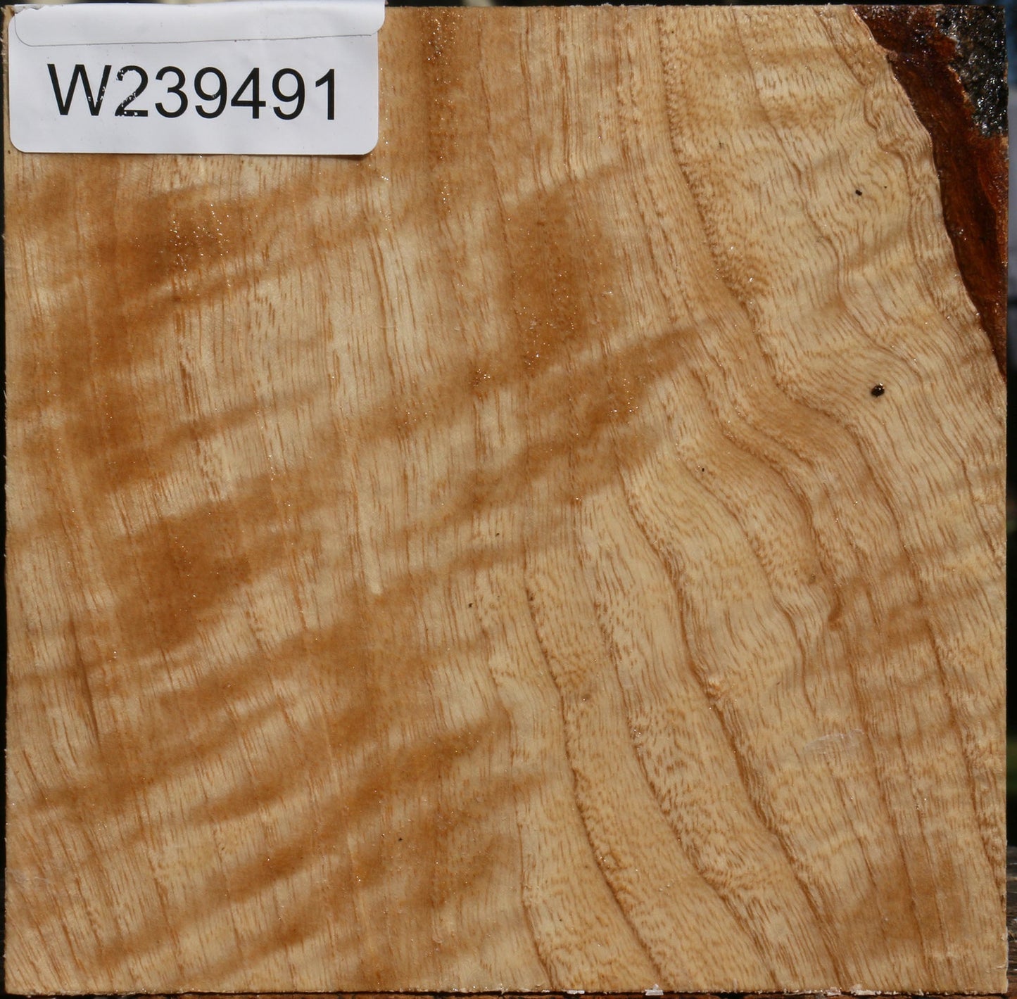 Extra Fancy Modesto Ash Bowl Blank