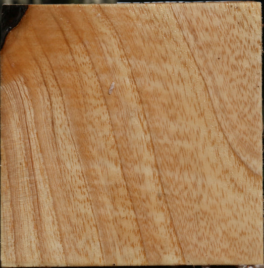 Modesto Ash Bowl Blank