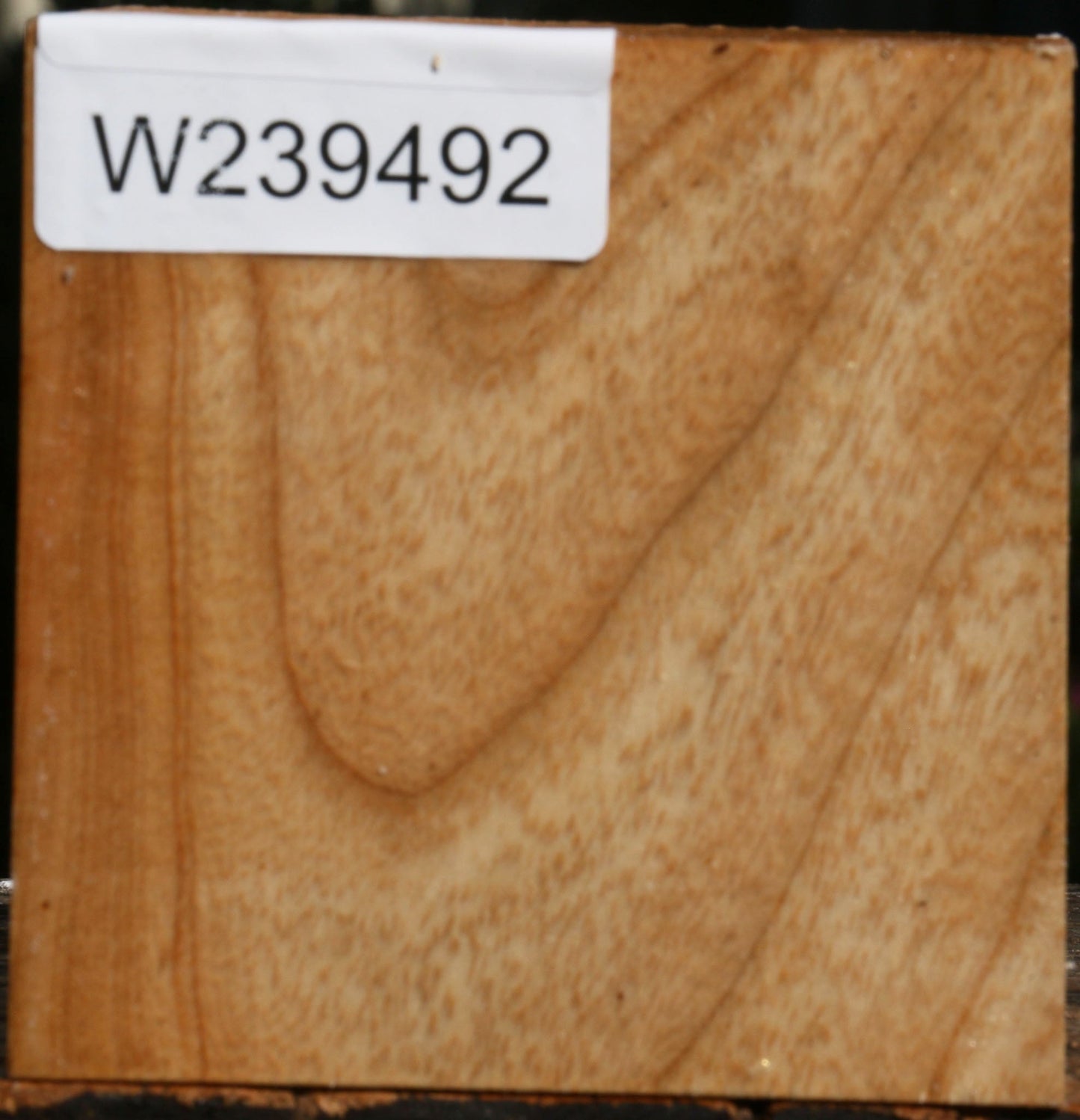 Modesto Ash Bowl Blank