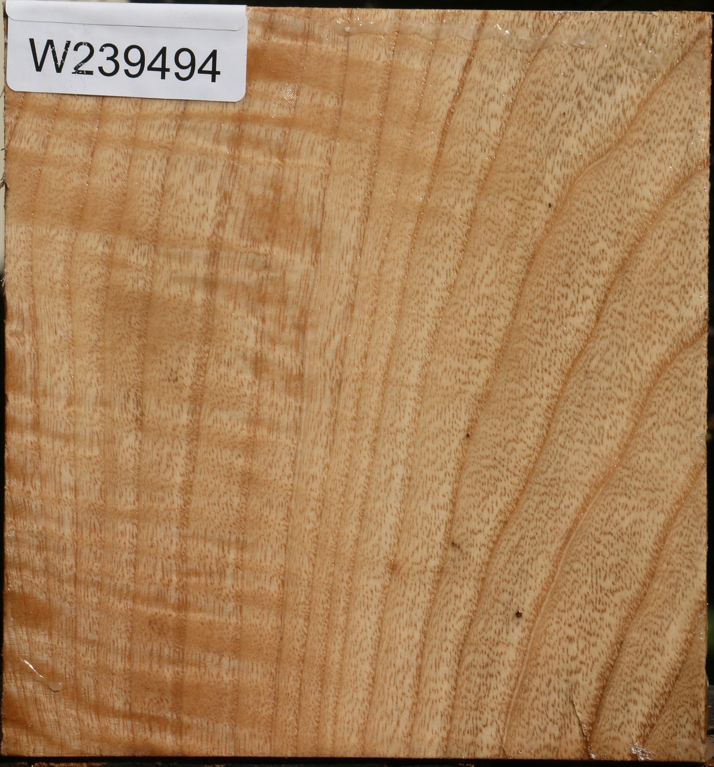 Figured Modesto Ash Bowl Blank