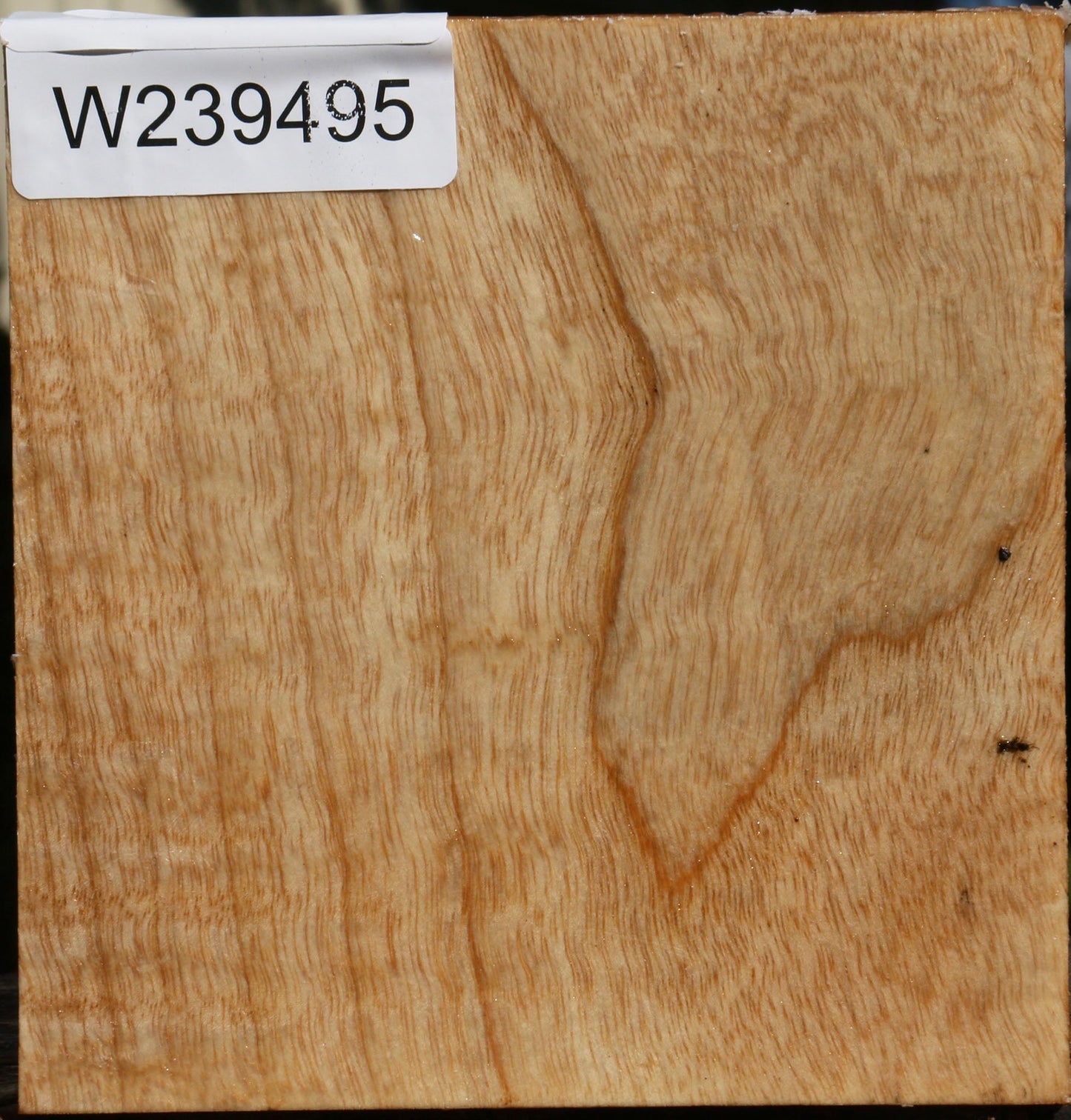 Modesto Ash Bowl Blank