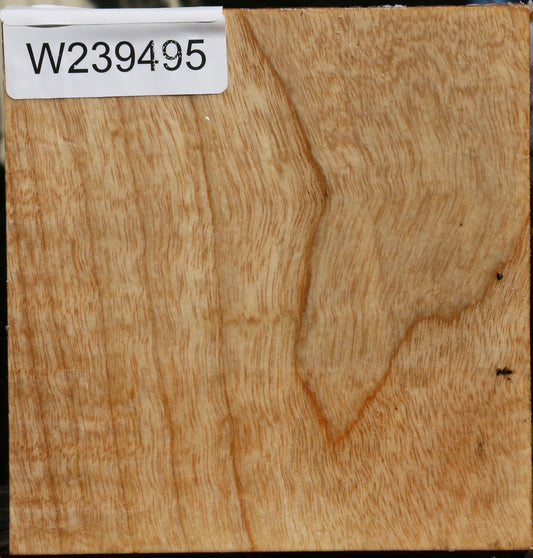 Modesto Ash Bowl Blank