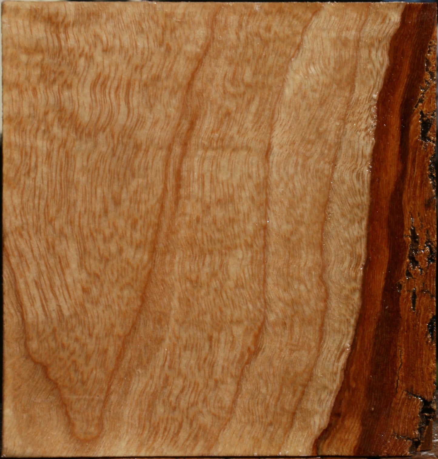 Modesto Ash Bowl Blank