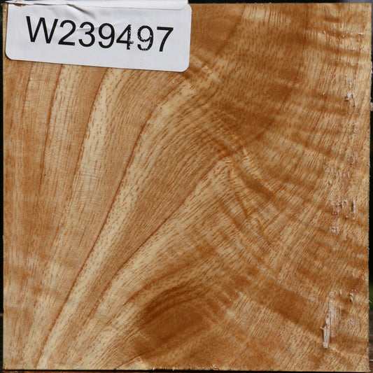 Figured Modesto Ash Bowl Blank